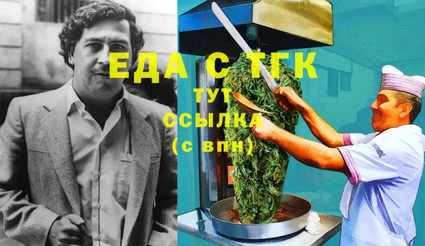 гашик Гусь-Хрустальный
