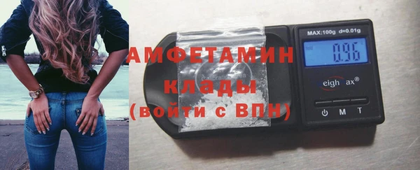 гидра Горно-Алтайск