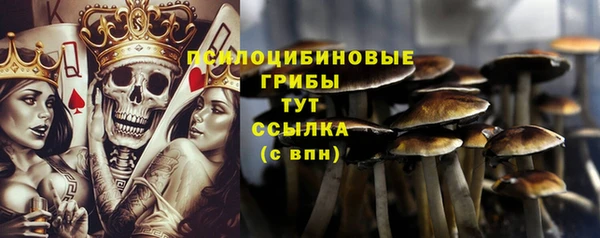 мдма Горняк